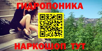 бошки Конаково