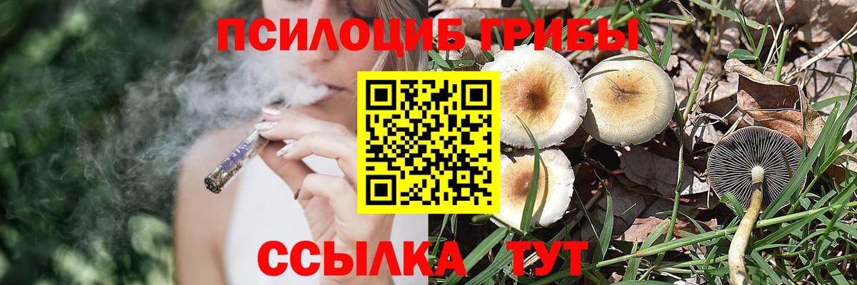 Псилоцибиновые грибы ЛСД Усть-Илимск
